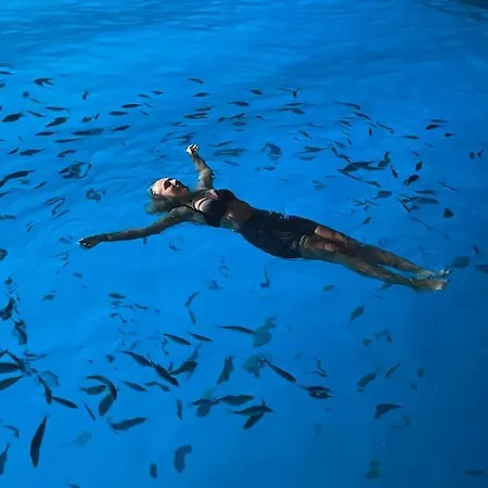 Apartment Gumantu Praia a Mare